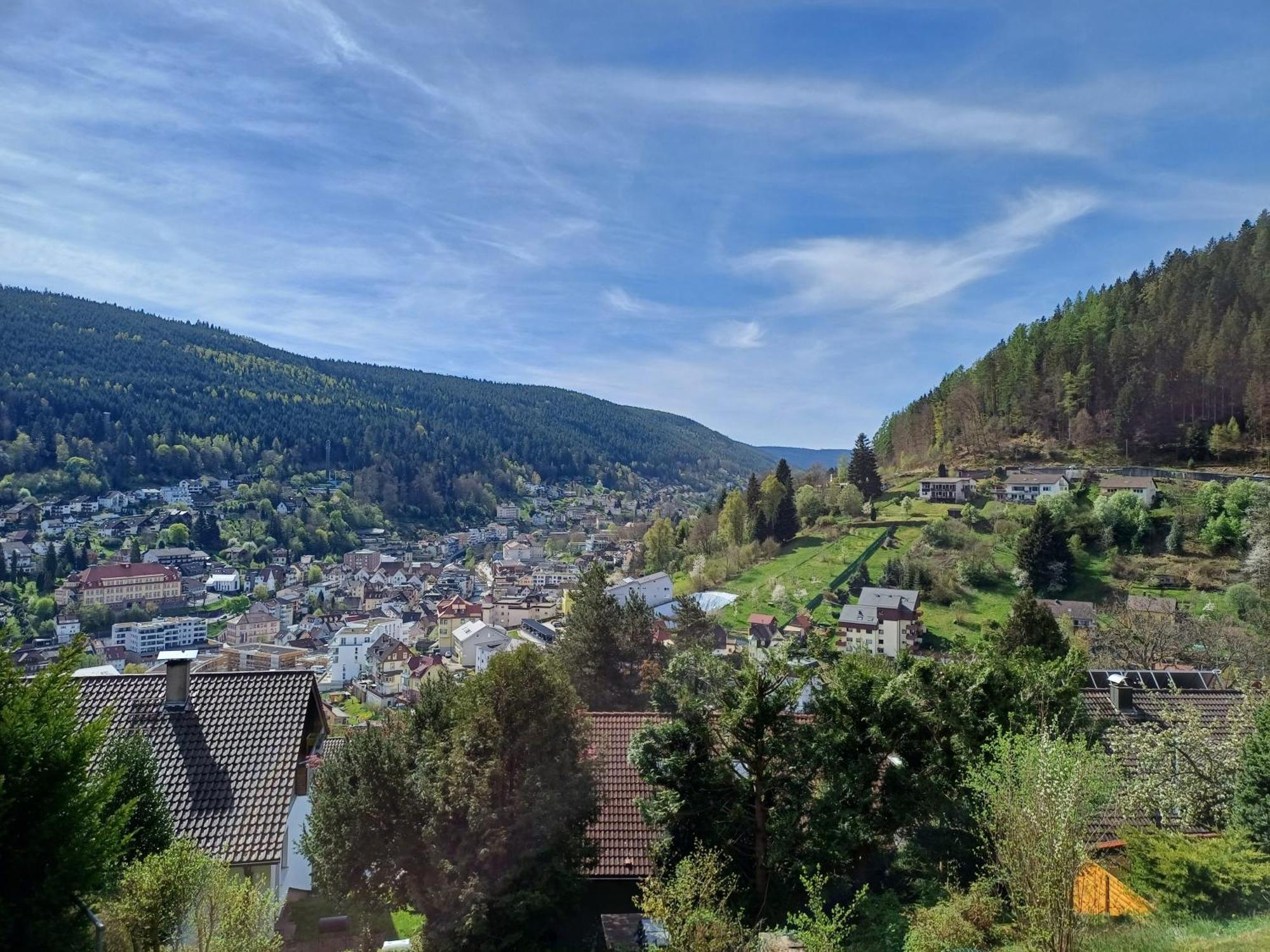 Ferienwohnung Panoramablick Bad Wildbad Exterior photo